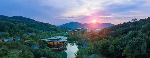 舟山航空文旅新篇章 保利航空小镇开元森泊度假乐园成功签约，擘画海岛旅游新蓝图